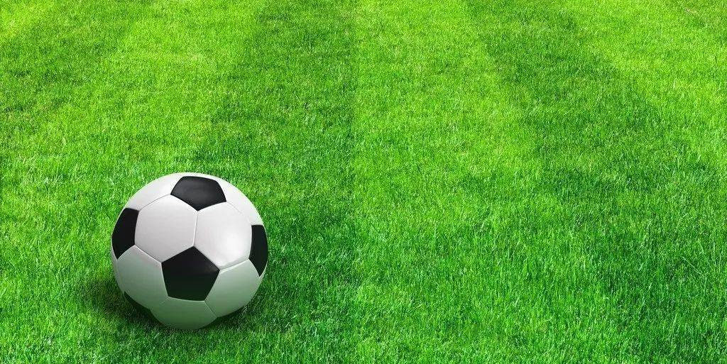 赛事研究人员使用场景